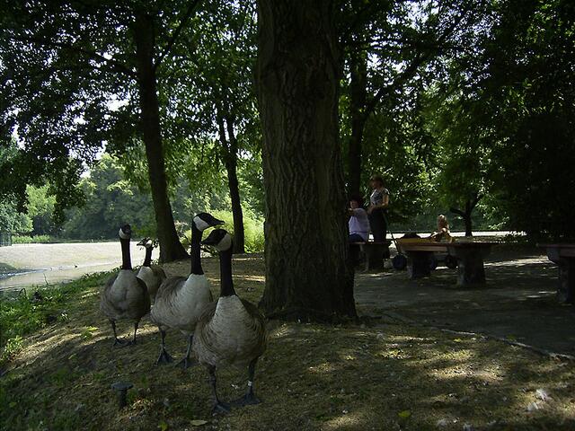 Tierpark Berlin-Friedrichsfelde