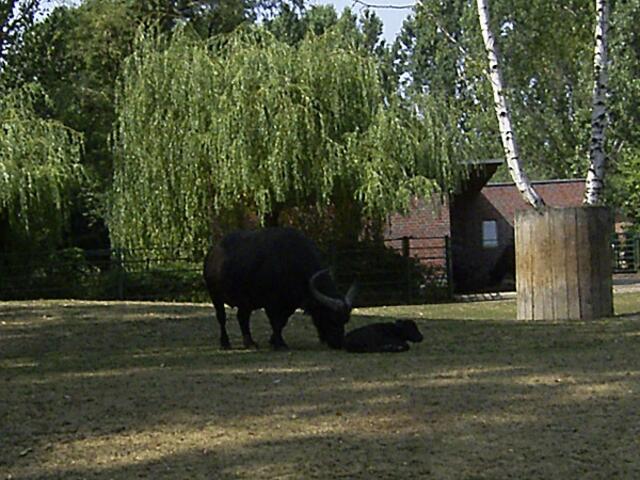 Tierpark Berlin-Friedrichsfelde