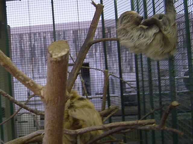 Tierpark Berlin-Friedrichsfelde