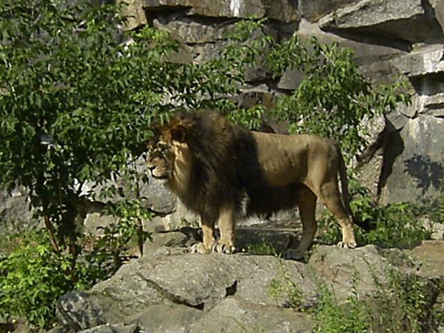 Tierpark Berlin-Friedrichsfelde