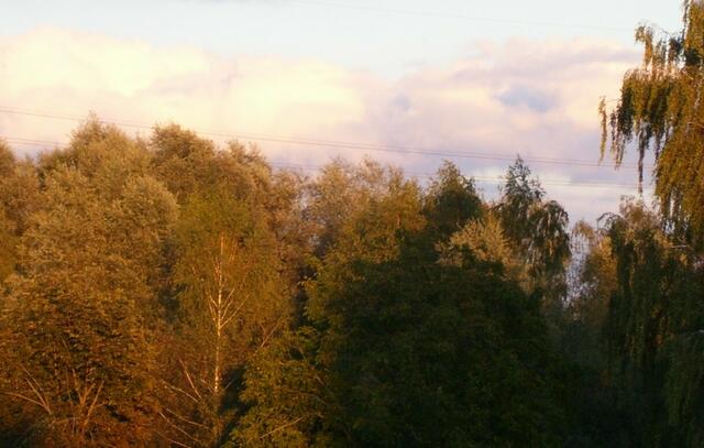 Abendstimmung über Unterschneitbach