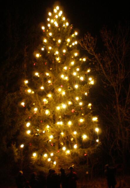 Waldweihnacht in Königsbrunn
