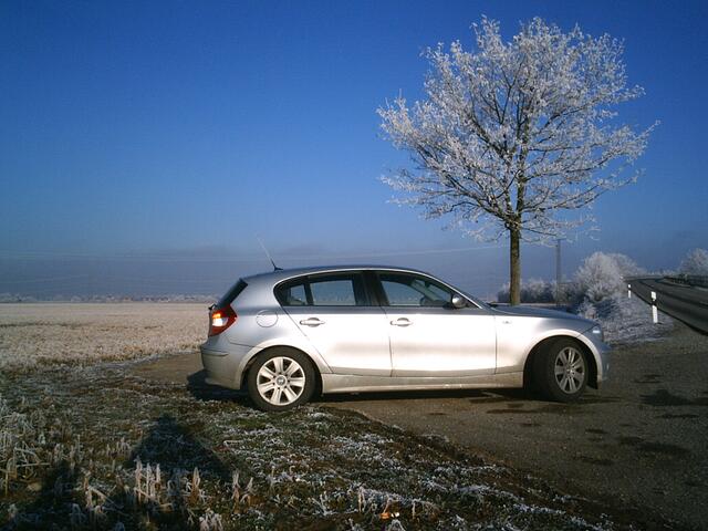 Giulia fotografiert einen mittelgroßen Baum