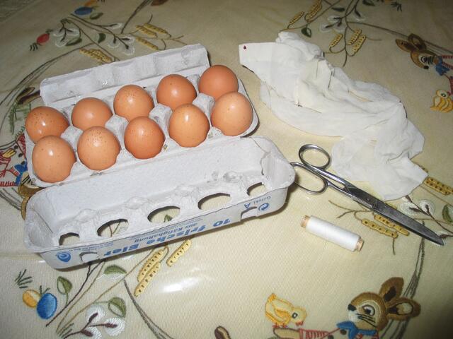 Die Zutaten zum Eierfärben: Eier, Schere, Faden und ...............