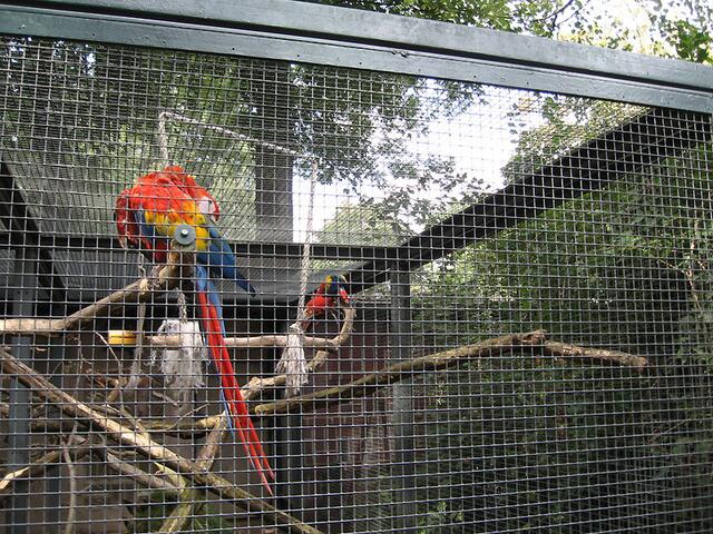 Zoo Leipzig