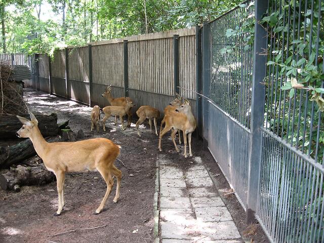 Zoo Leipzig