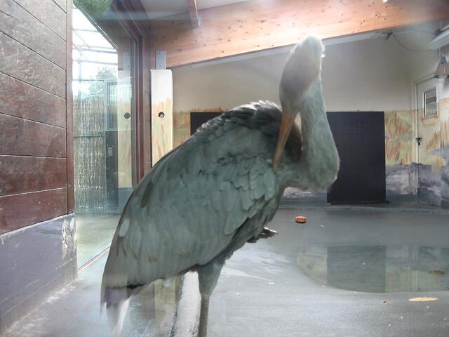 Zoo Leipzig