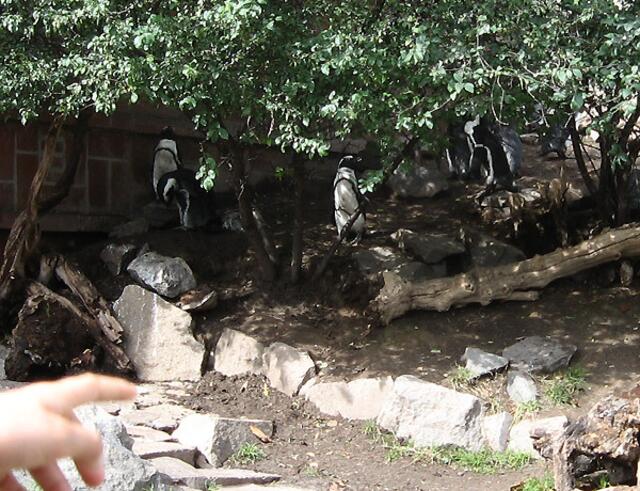 Zoo Leipzig (noch ein Bild)