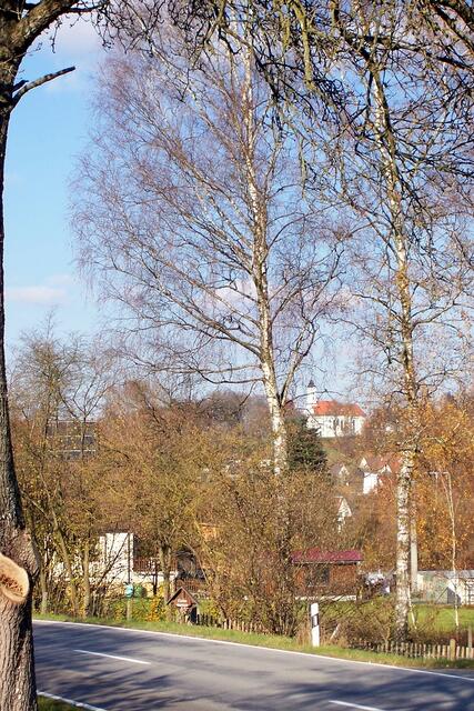 Welden im Herbst - Thekla-Kirche im Hintergrund