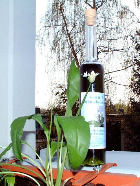 ... meine Lieblingsblume!