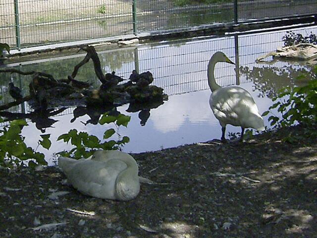 Tierpark Berlin-Friedrichsfelde