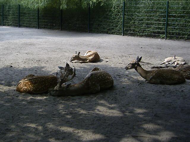 Tierpark Berlin-Friedrichsfelde