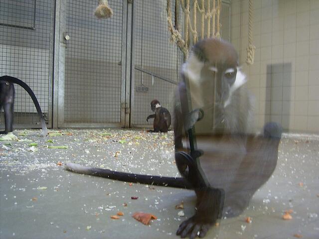 Tierpark Berlin-Friedrichsfelde