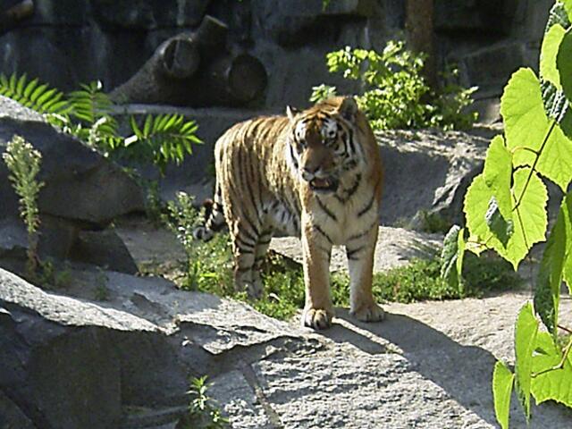 Tierpark Berlin-Friedrichsfelde