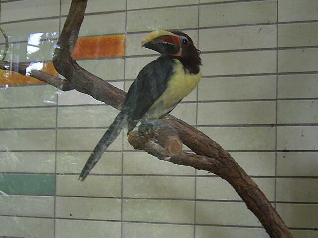Tierpark Berlin-Friedrichsfelde