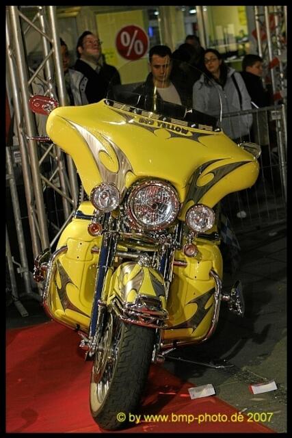 Kinopremiere "Born to be wild"