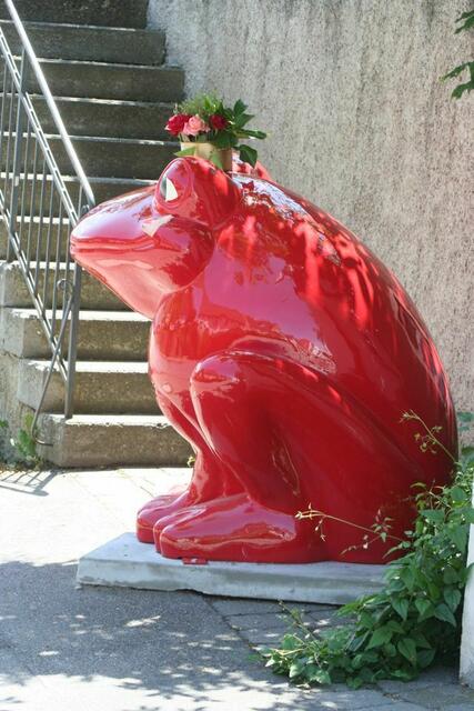Lau(p)frosch