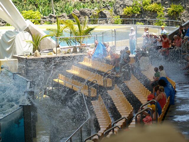 im Loro Parque