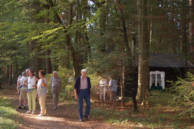 Das idyllische Ziel - die Waldhütte