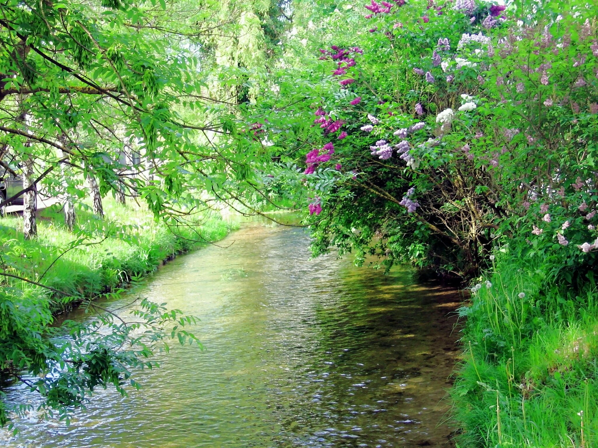 Der Starzelbach Eichenau
