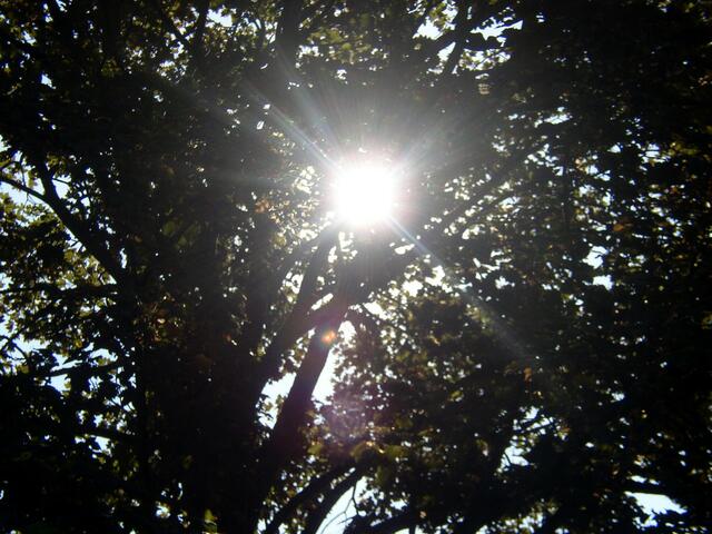 Einen sonnigen Montag