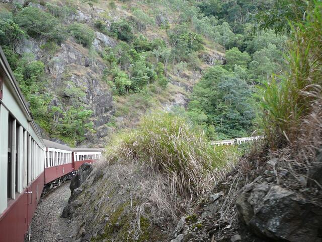 jhjMit der Bahn durch den Tropenwald