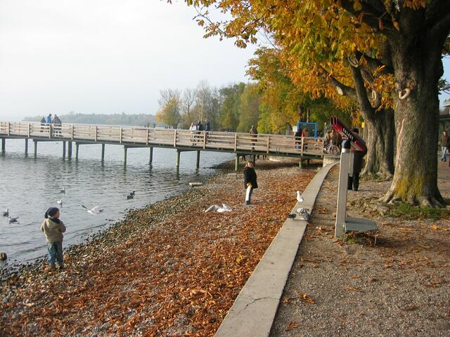 Herbststimmung in Herrsching am Ammersee