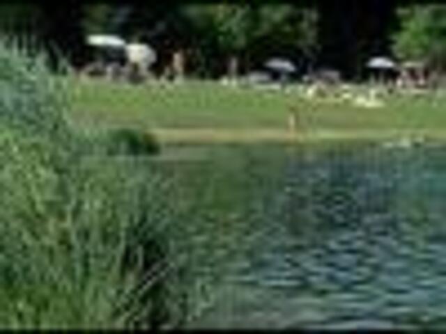Auwaldsee