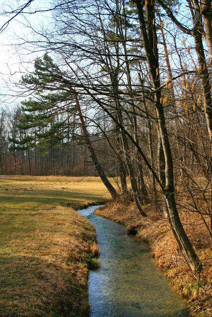 Bachlauf