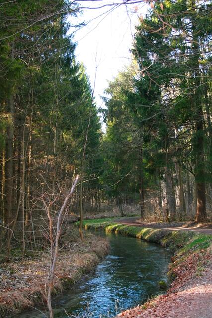 Bachlauf