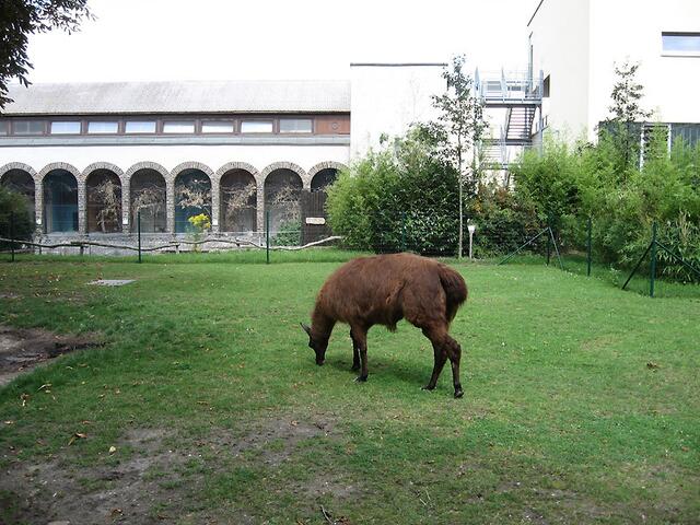 Zoo Leipzig