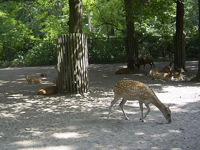 Tierpark Berlin-Friedrichsfelde