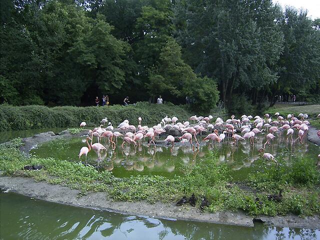 Tierpark Berlin-Friedrichsfelde