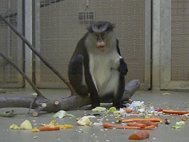 Tierpark Berlin-Friedrichsfelde