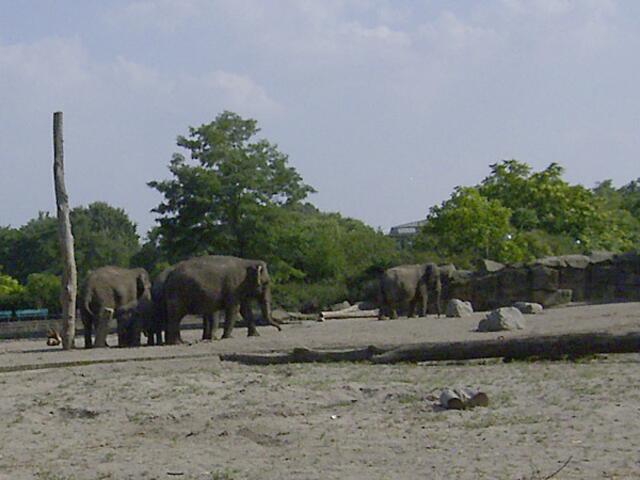 Tierpark Berlin-Friedrichsfelde