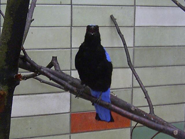 Tierpark Berlin-Friedrichsfelde