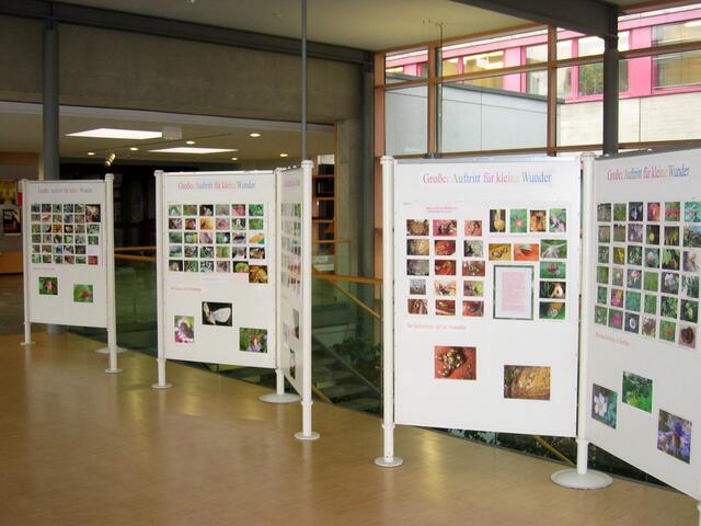 Ausstellungshalle im LRA