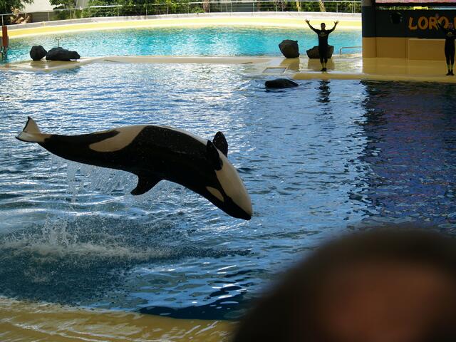 im Loro Parque