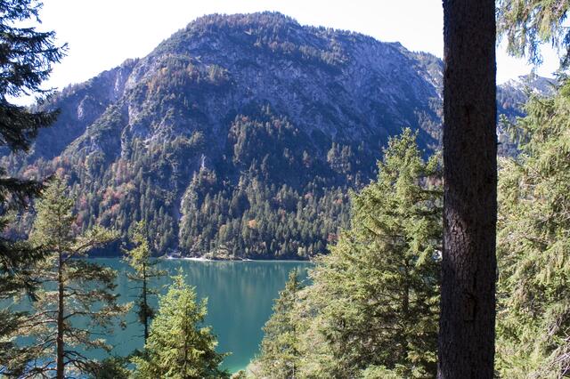 Plansee