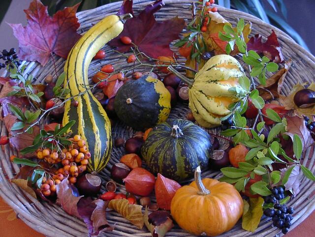 Herbstgrüße an alle online Gäste