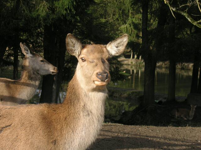 Nachdenkbilder