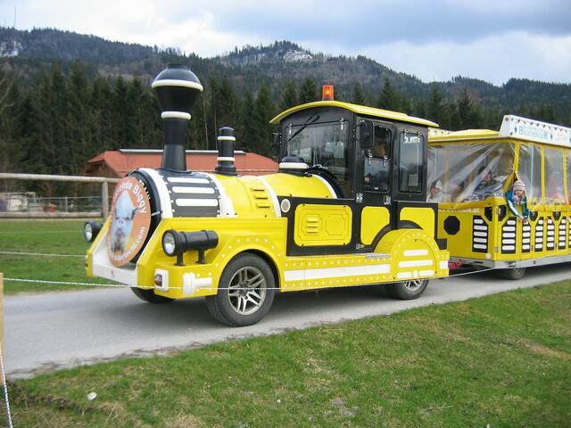 Bummelfahrt durch das Gelände mit Erklärungen.