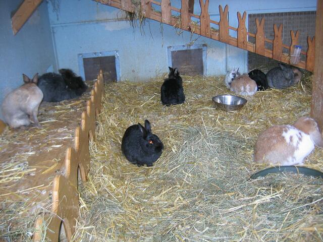 Auch wir Osterhasen waren da.