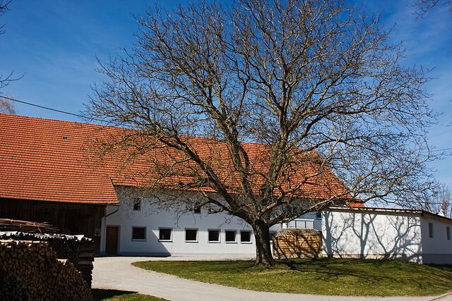 In Bürgle