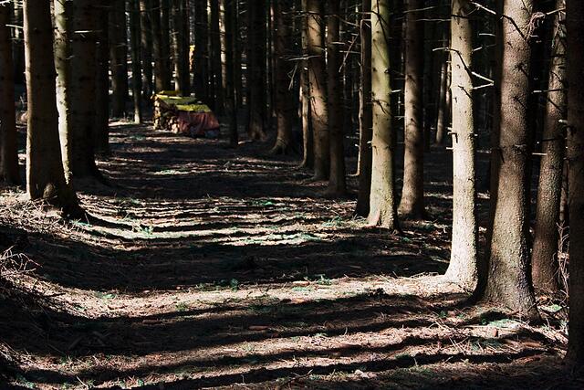 Wo Licht ist, da ist auch Schatten!