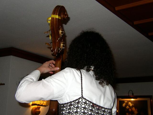 Schwarze Haare, die Anna am Bass von hinten