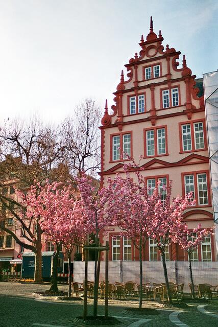 am Domplatz