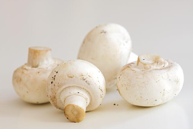 Champignons