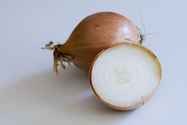 Zwiebel