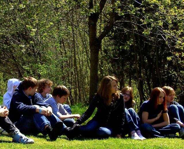 Feedback in der Sonne